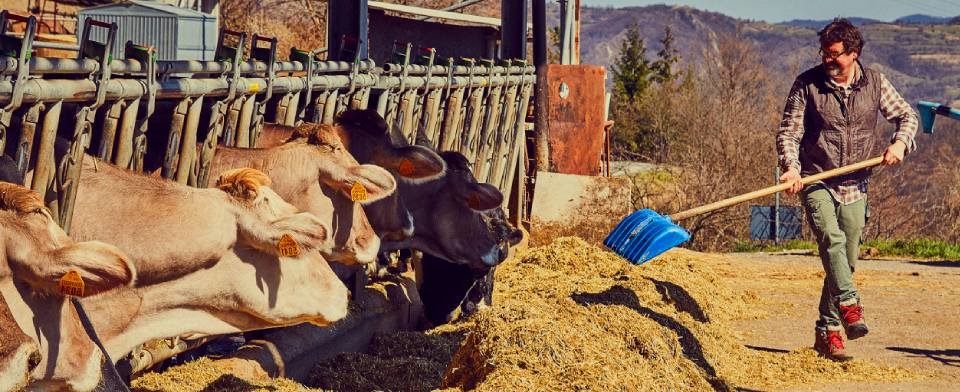 Società Cooperativa Agricola Vallenostra: scopri i prodotti